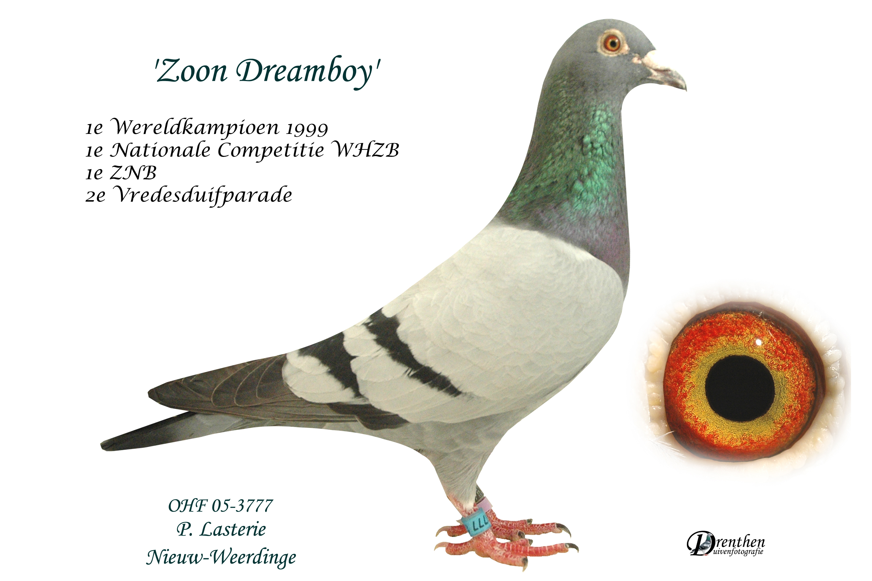 Peter Lasterie, Nieuw Weerdinge Index kwekers